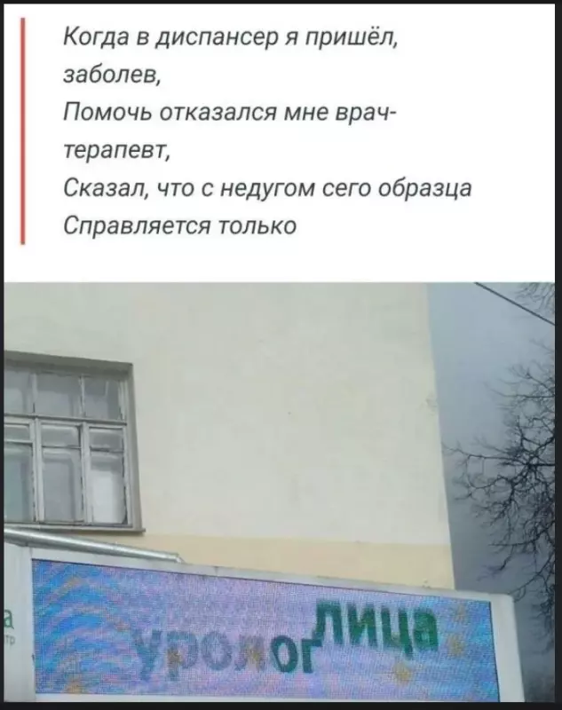 Всюду рифмы
