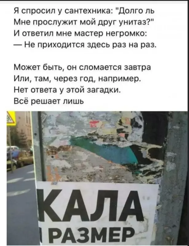 Всюду рифмы