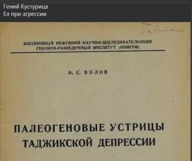 Всюду рифмы