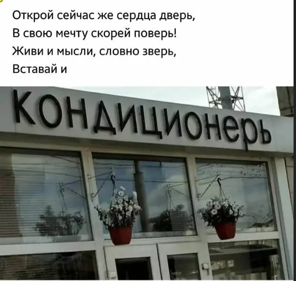 Всюду рифмы