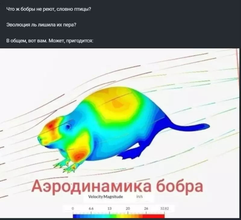 Всюду рифмы