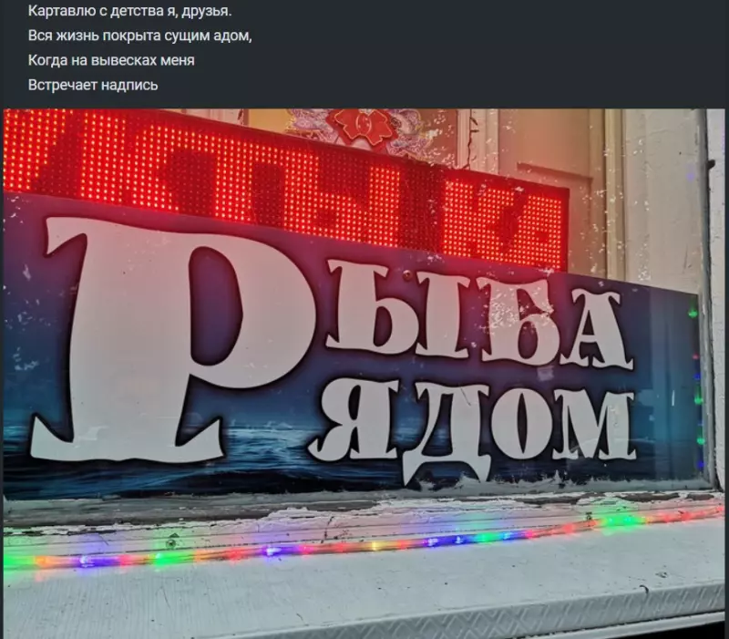 Всюду рифмы
