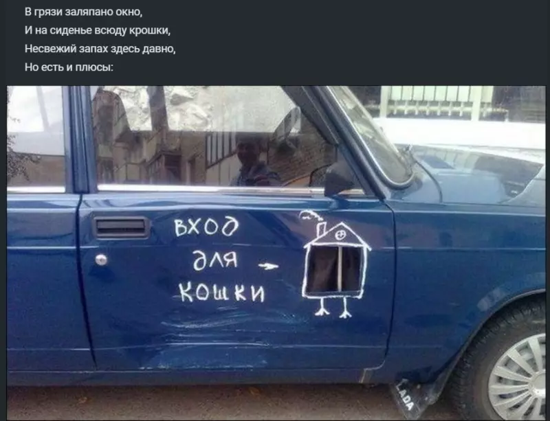 Всюду рифмы