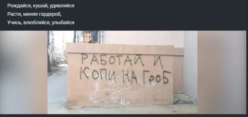 Всюду рифмы