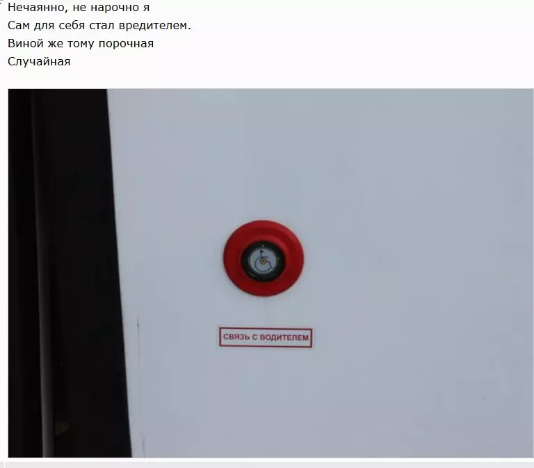 Всюду рифмы