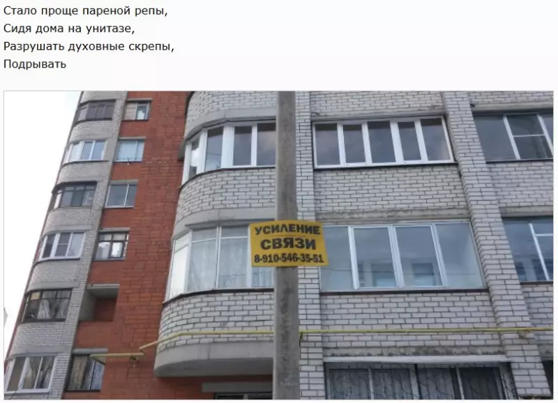 Всюду рифмы