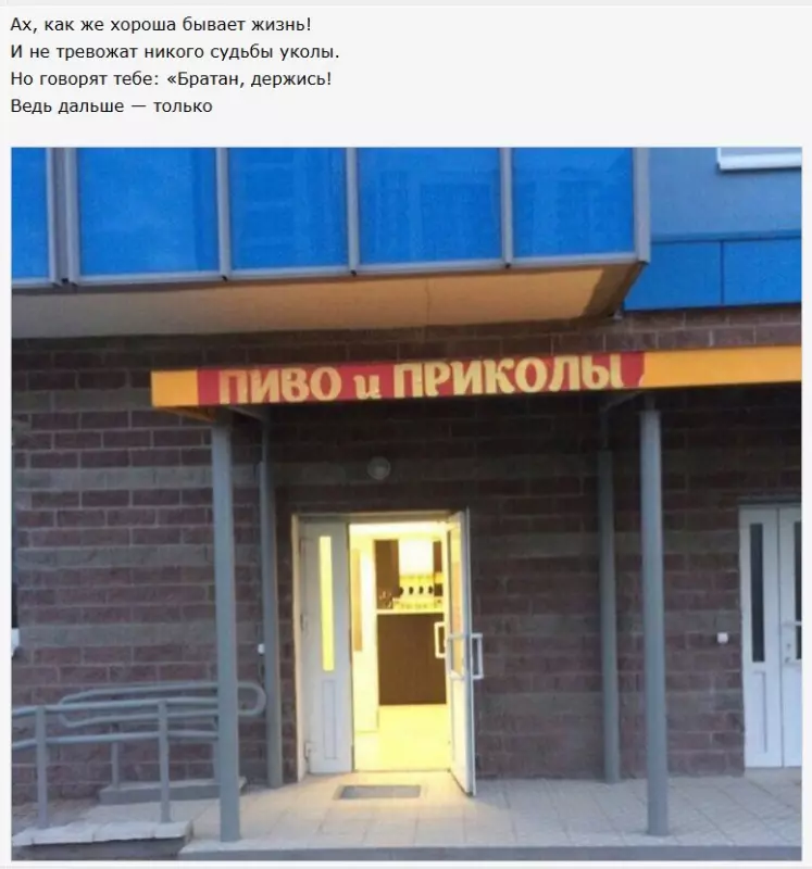 Всюду рифмы