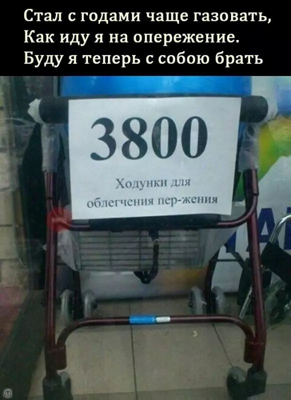 Всюду рифмы
