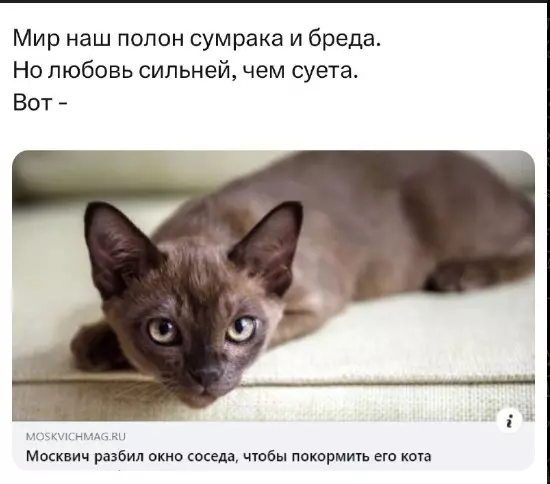 Всюду рифмы