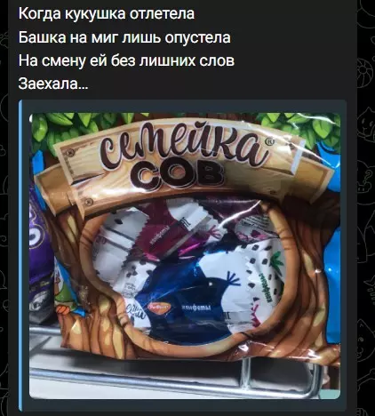 Всюду рифмы