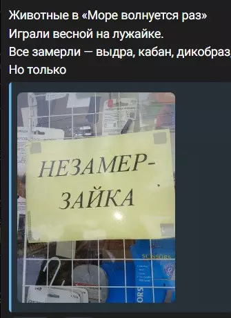 Всюду рифмы