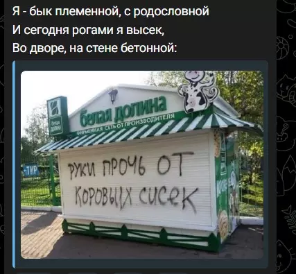 Всюду рифмы