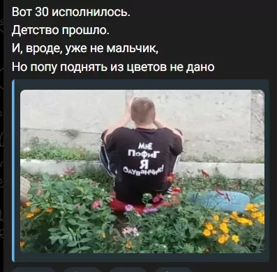 Всюду рифмы