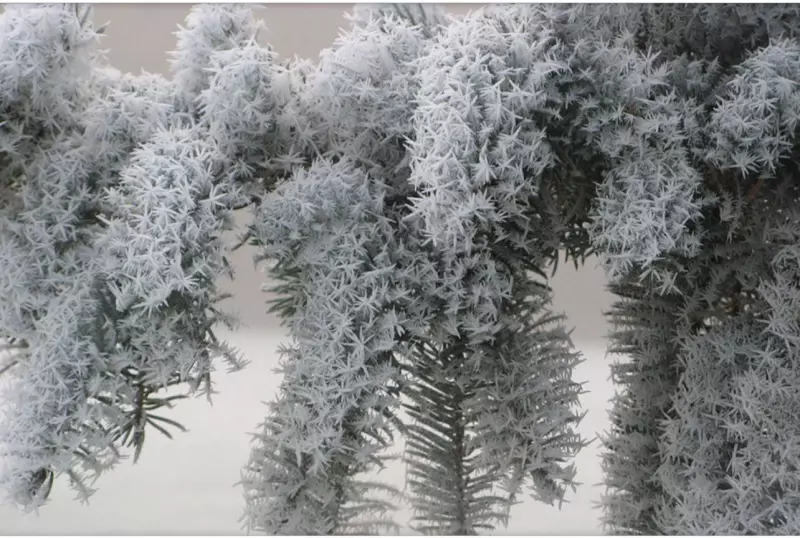 Прекрасное!