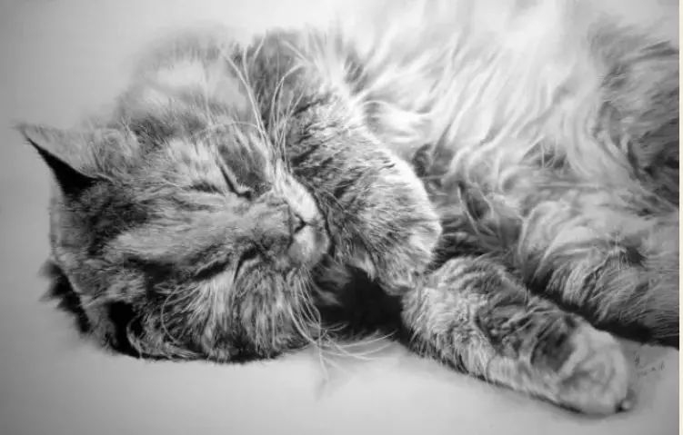 Арт галерея