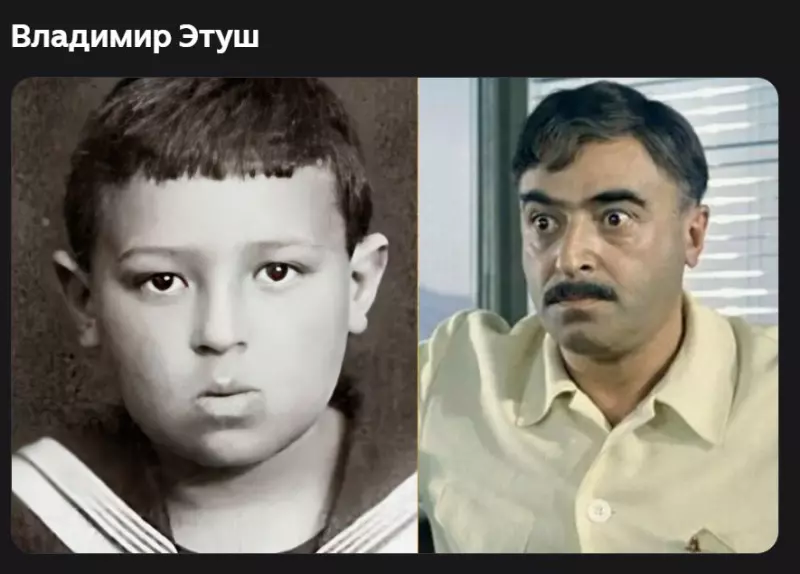 Селебрити-лайф