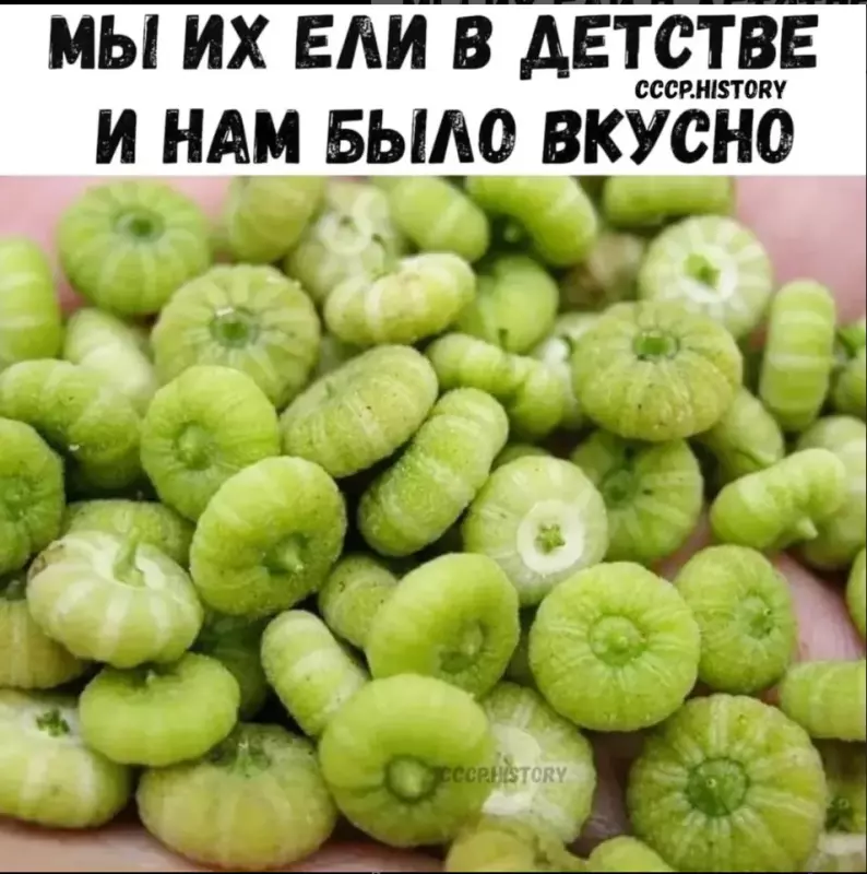 Что мы ели в детстве на улице