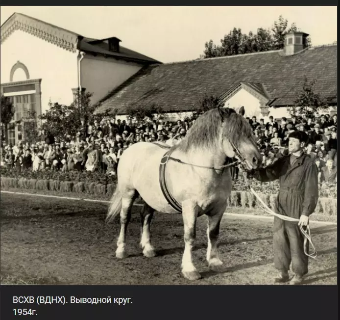 Назад в ХХ век... Вспомнить всё!