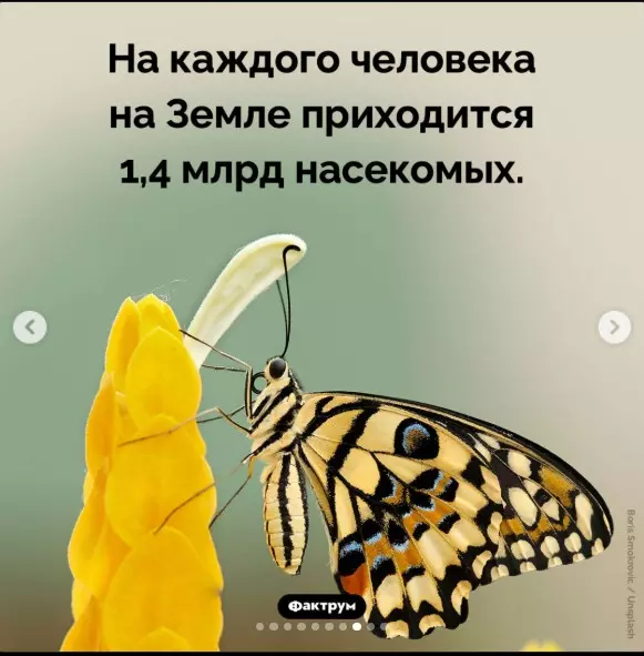 Назад в ХХ век... Вспомнить всё!