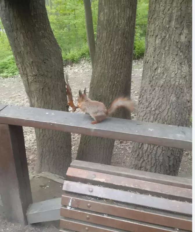 Коломенское