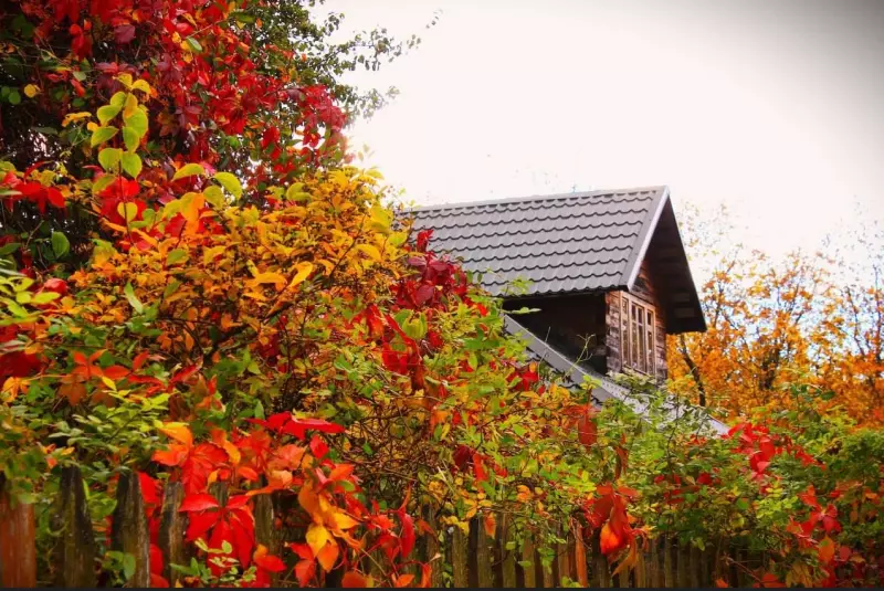 Коломенское