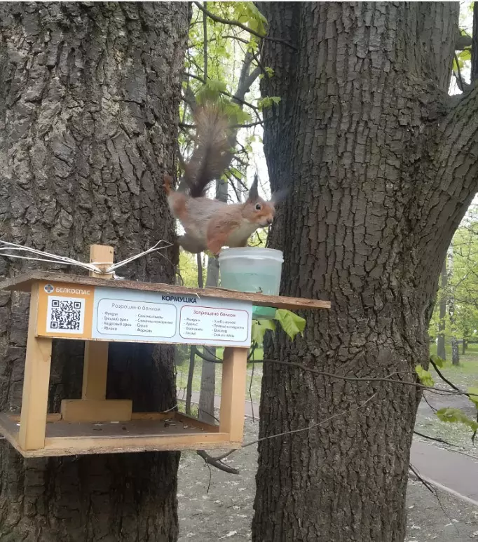 Коломенское