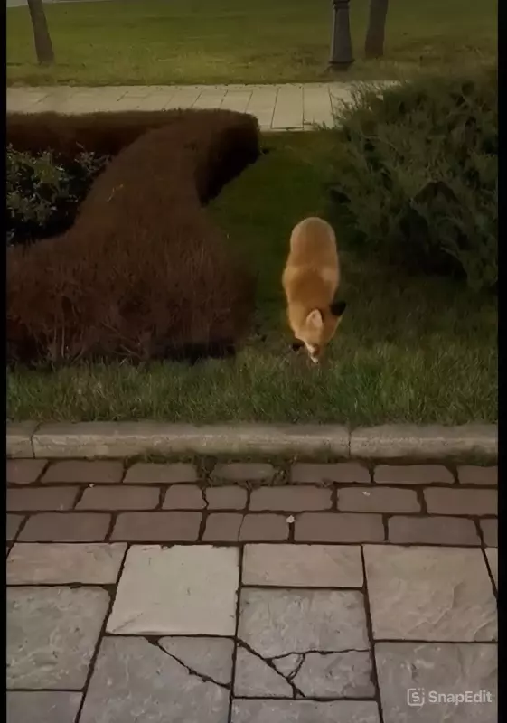 Коломенское