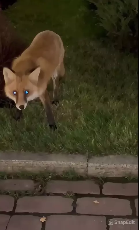 Коломенское