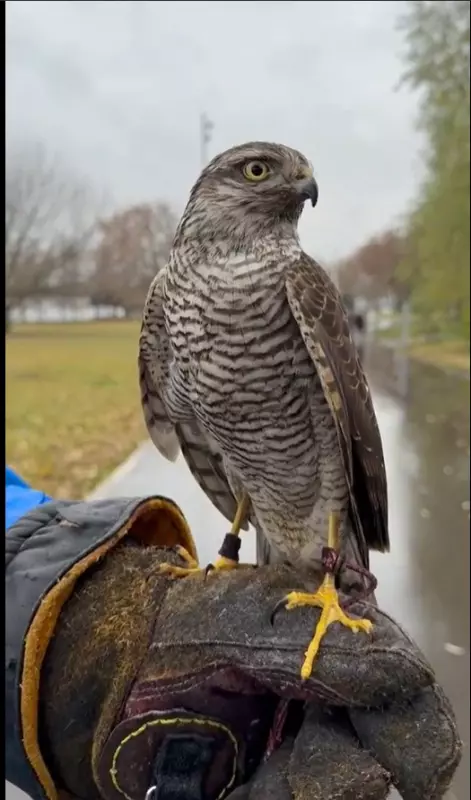 Коломенское