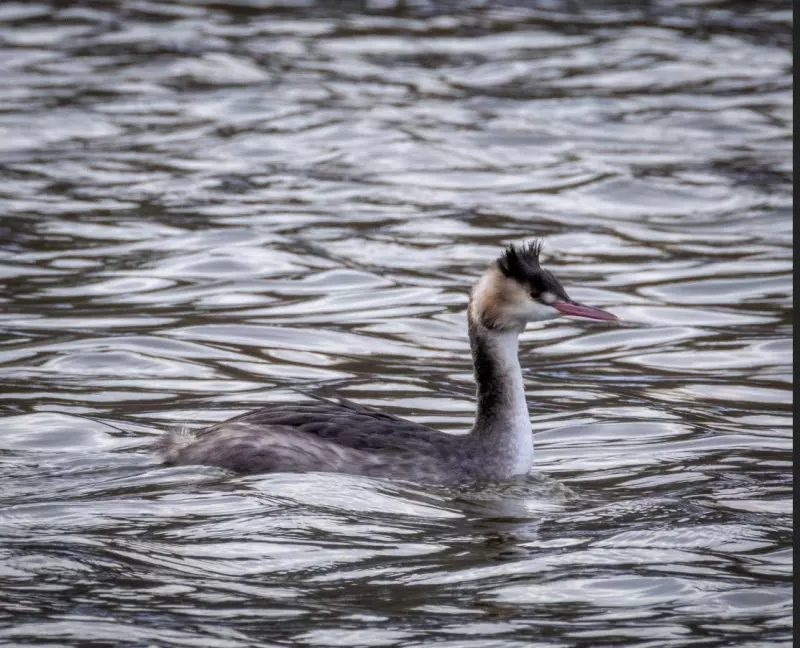 Коломенское