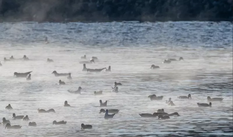 Коломенское