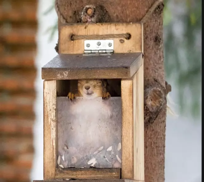 Коломенское