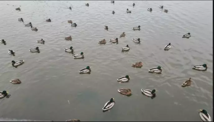 Коломенское