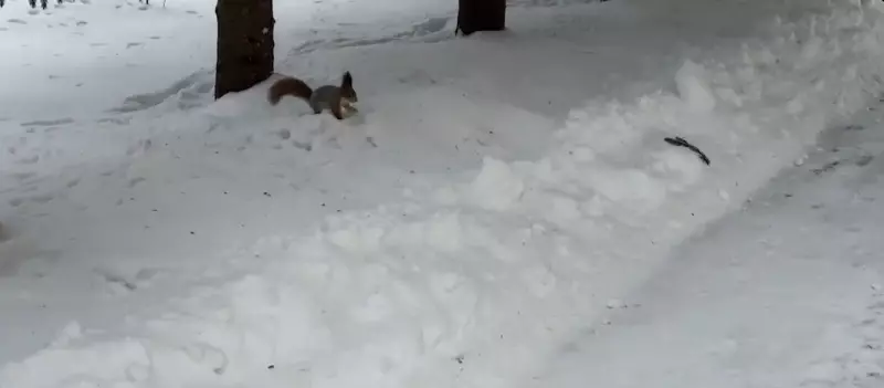 Коломенское