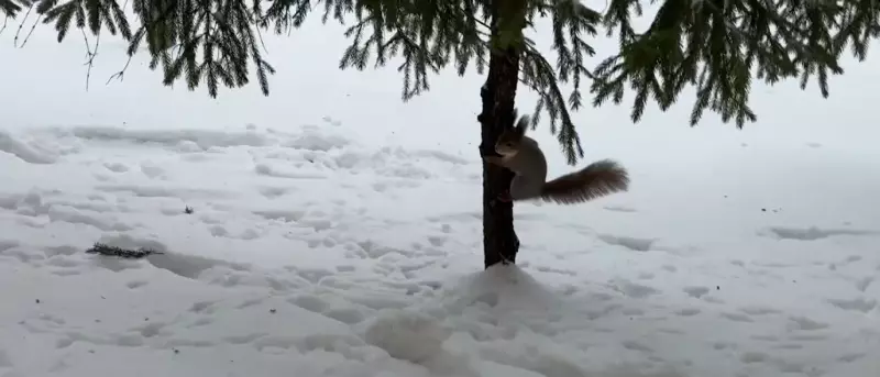 Коломенское