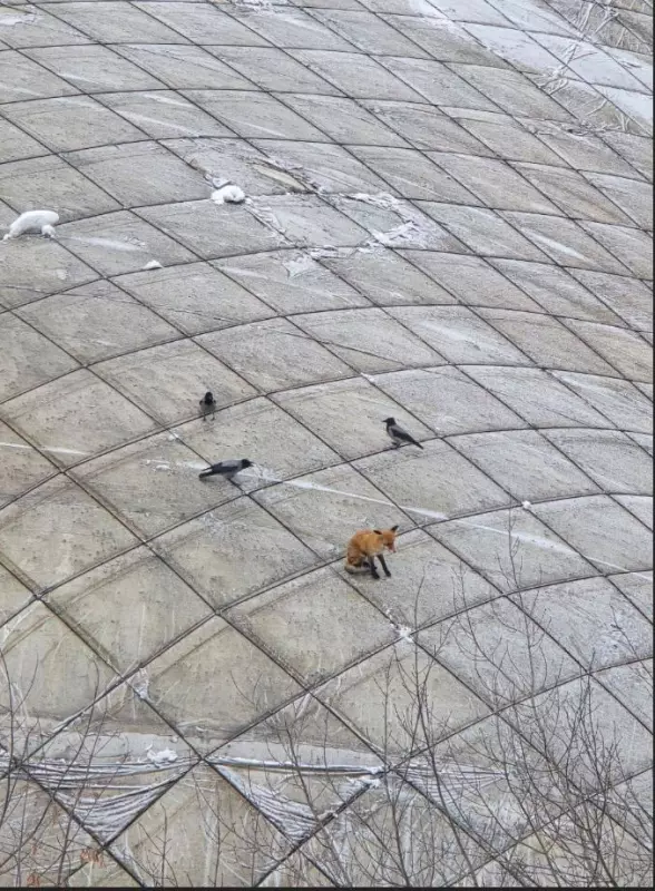 Коломенское