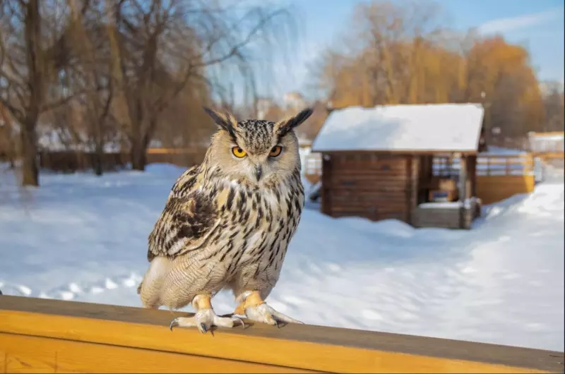 Коломенское