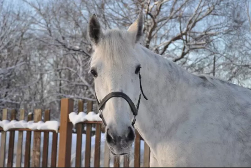 Коломенское