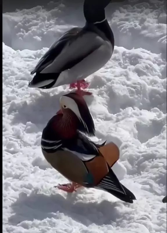 Коломенское