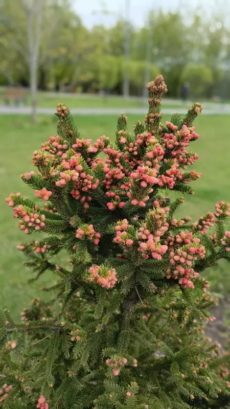 Коломенское