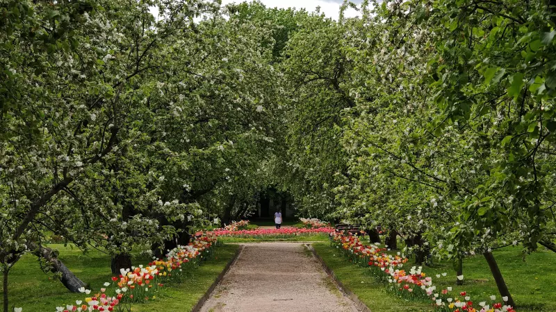 Коломенское