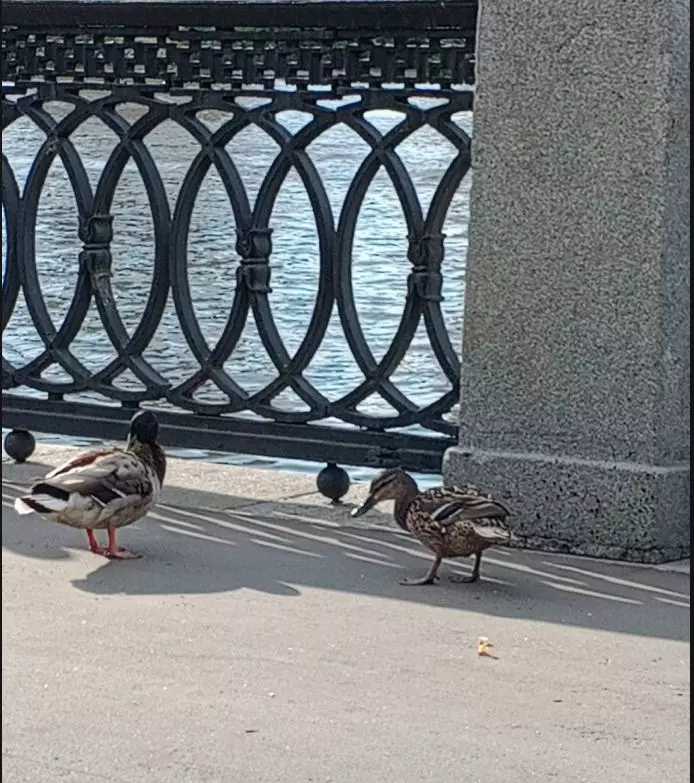 Коломенское