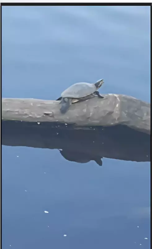 Коломенское