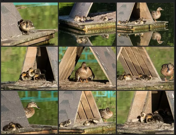 Коломенское