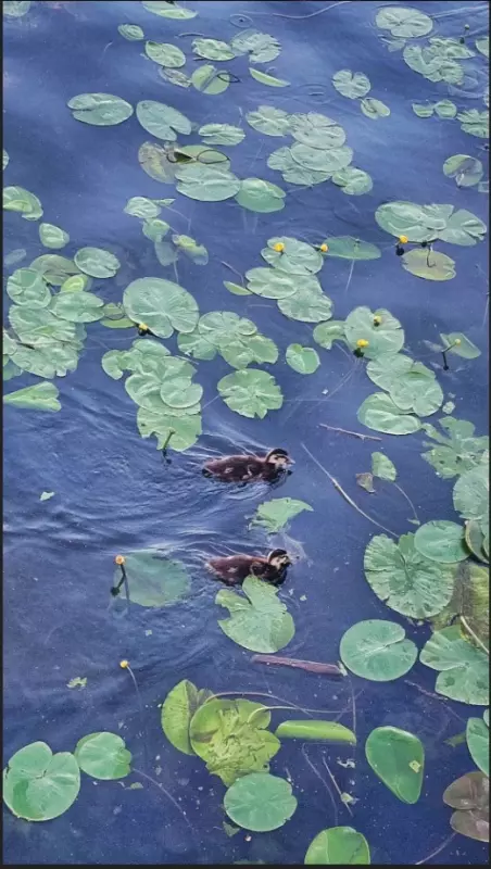 Коломенское