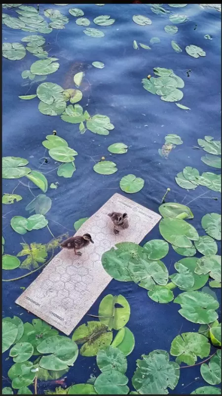 Коломенское