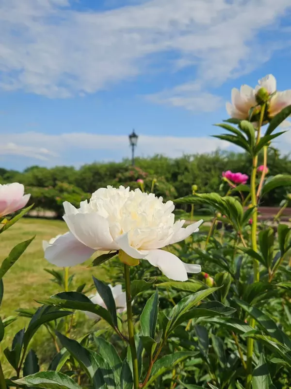 Коломенское