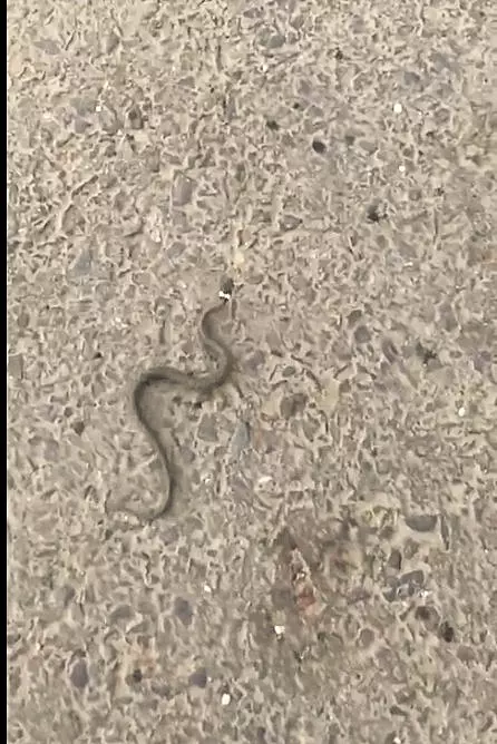 Коломенское