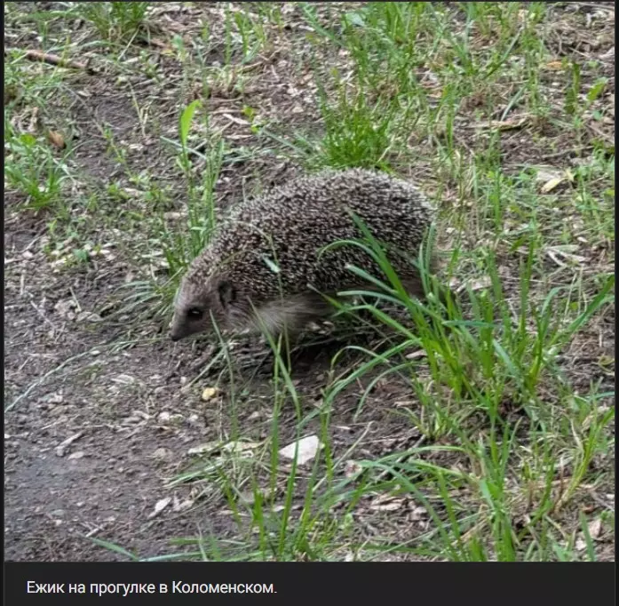 Коломенское