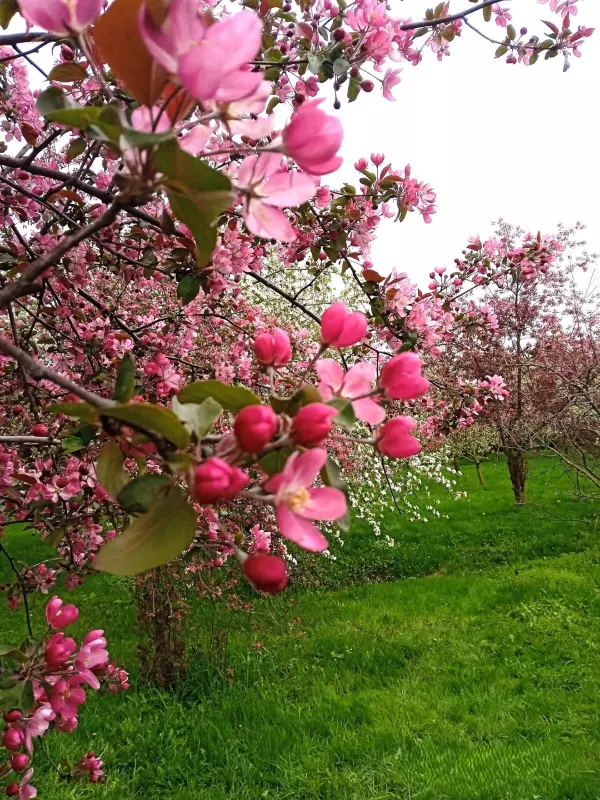 Коломенское